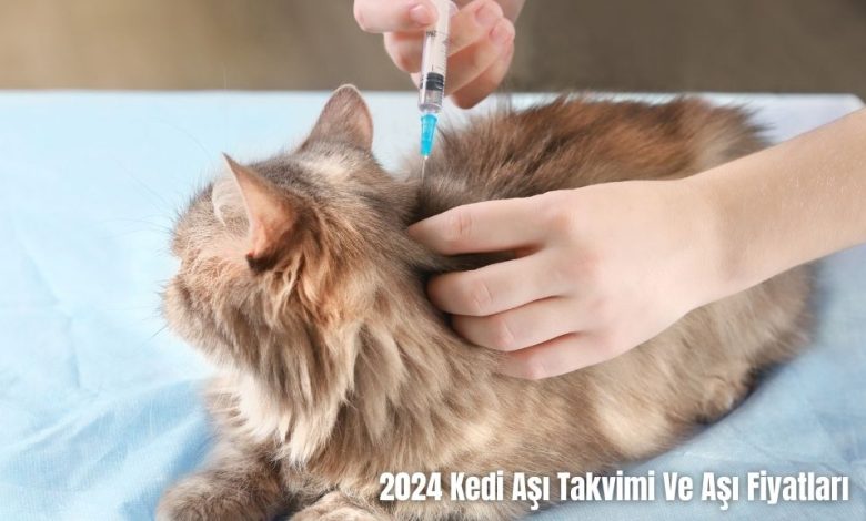 2024-Kedi-Asi-Takvimi-Ve-Asi-Fiyatlari