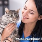 2024-Veteriner-Klinikleri-Ucret-Tarifesi