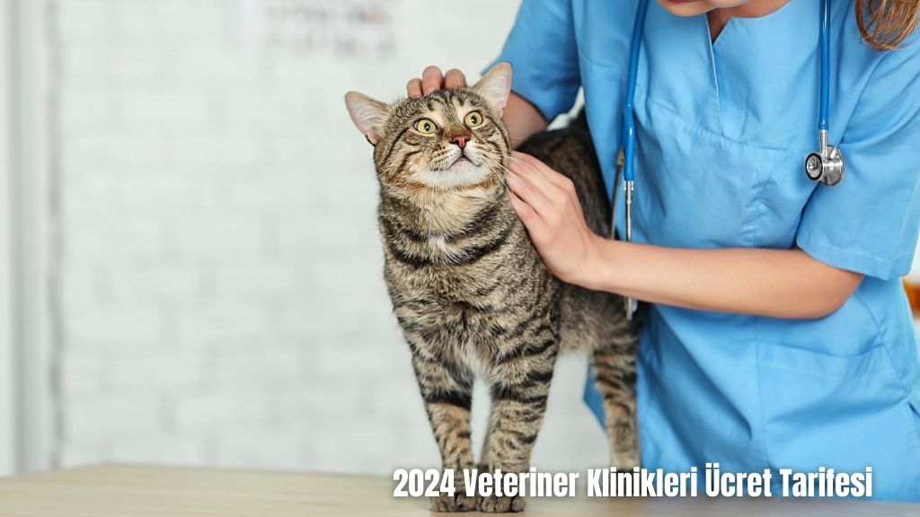 Veteriner Klinikleri Ücret Tarifesi 2024