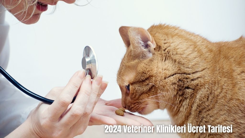 Veteriner Klinikleri Ücret Tarifesi 2024