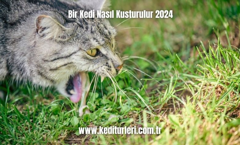 Bir-Kedi-Nasil-Kusturulur-2024