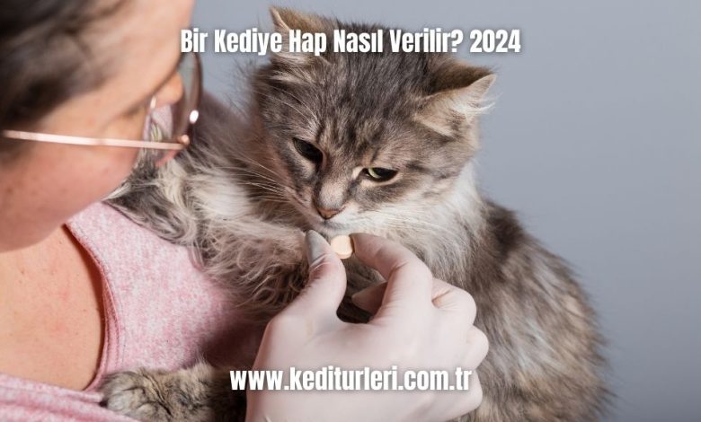 Bir-Kediye-Hap-Nasil-Verilir-2024