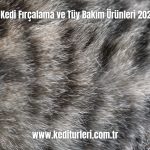 En-Iyi-Kedi-Fircalama-ve-Tuy-Bakim-Urunleri-2024