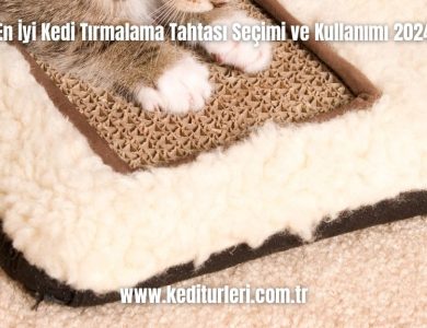 En-Iyi-Kedi-Tirmalama-Tahtasi-Secimi-ve-Kullanimi-2024