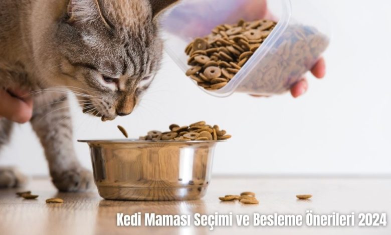 Kedi-Mamasi-Secimi-ve-Besleme-Onerileri-2024