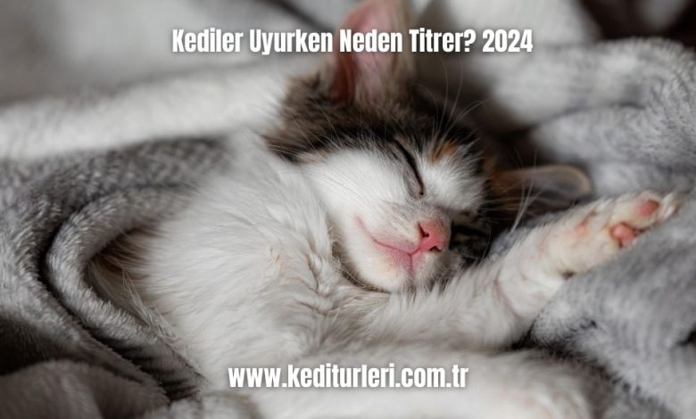 Kediler-Uyurken-Neden-Titrer-2024