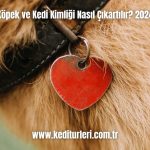 Kopek-ve-Kedi-Kimligi-Nasil-Cikartilir-2024