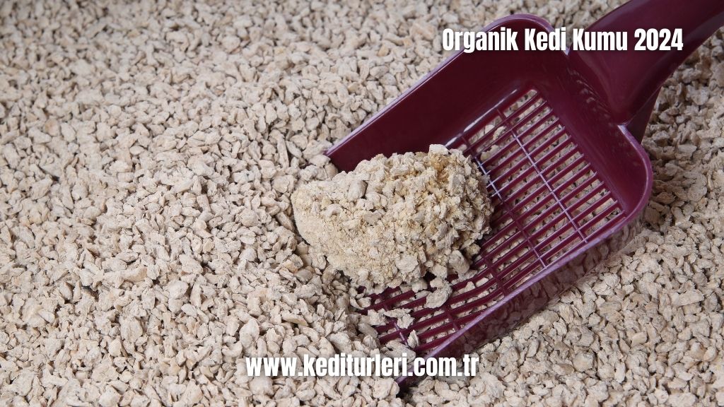 Organik Kedi Kumu