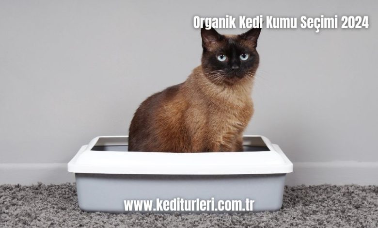 Organik-Kedi-Kumu-Secimi-2024