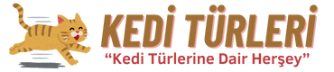 Kedi Türleri