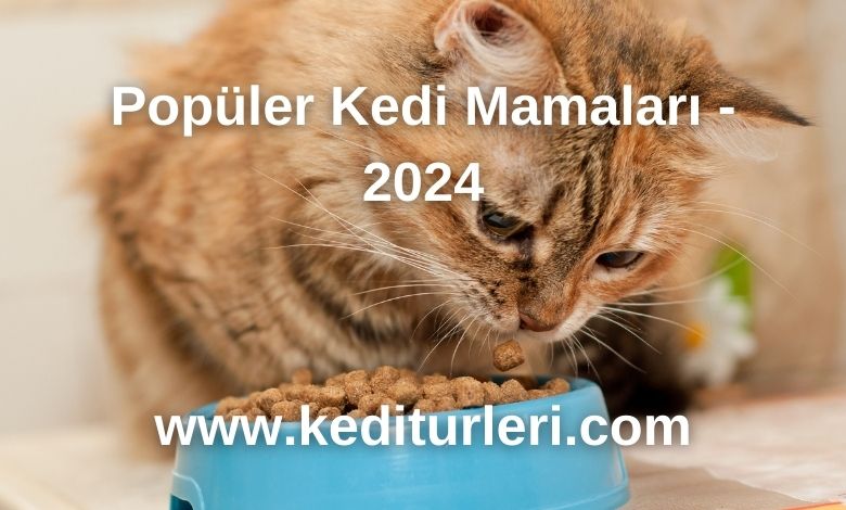 Popüler Kedi Mamaları - 2024