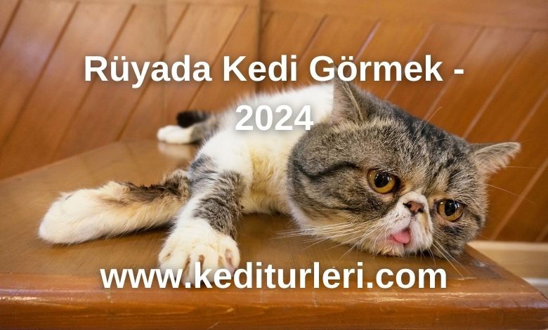 Rüyada Kedi Görmek - 2024