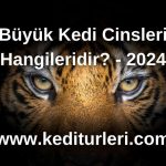 Büyük Kedi Cinsleri Hangileridir? - 2024