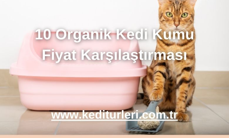 10 Organik Kedi Kumu Fiyat Karşılaştırması - 2024