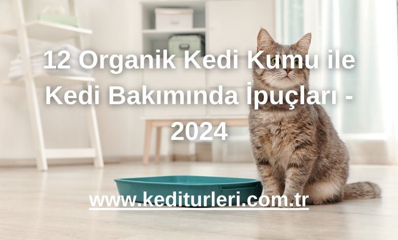 12 Organik Kedi Kumu ile Kedi Bakımında İpuçları - 2024