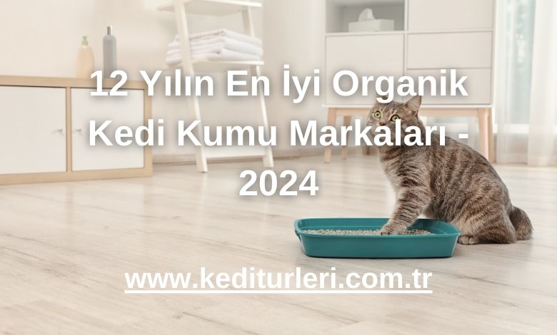12 Yılın En İyi Organik Kedi Kumu Markaları - 2024
