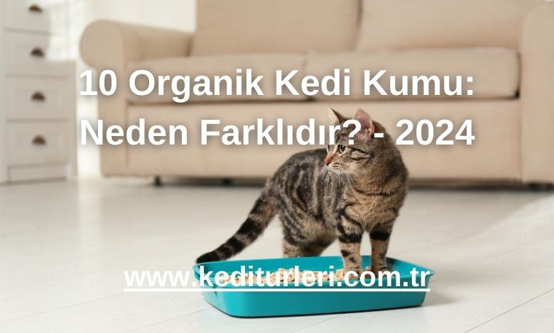 10 Organik Kedi Kumu: Neden Farklıdır? - 2024