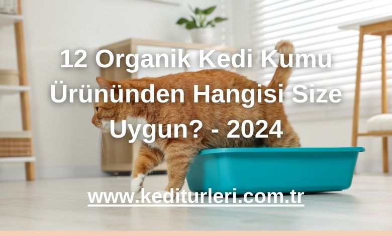 12 Organik Kedi Kumu Ürününden Hangisi Size Uygun? - 2024