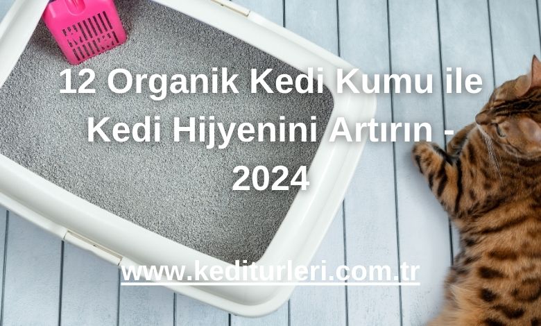 12 Organik Kedi Kumu ile Kedi Hijyenini Artırın - 2024