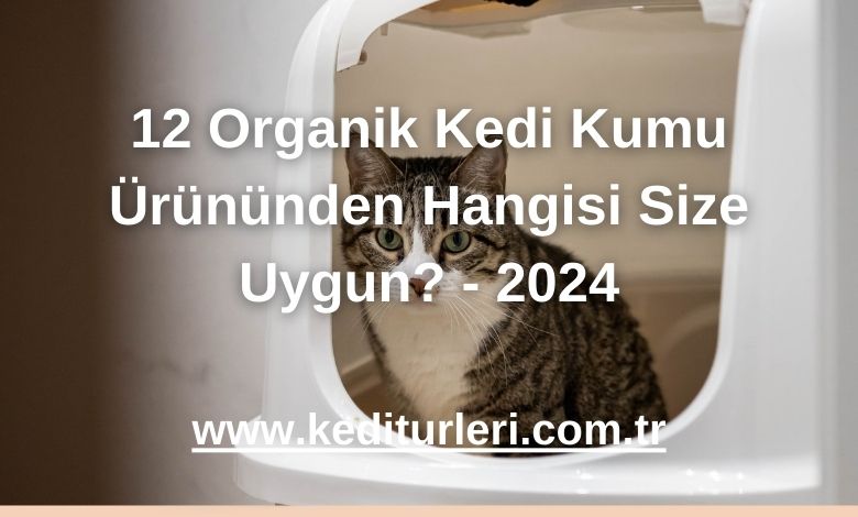 12 Organik Kedi Kumu Ürününden Hangisi Size Uygun? - 2024