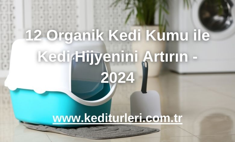12 Organik Kedi Kumu ile Kedi Hijyenini Artırın - 2024