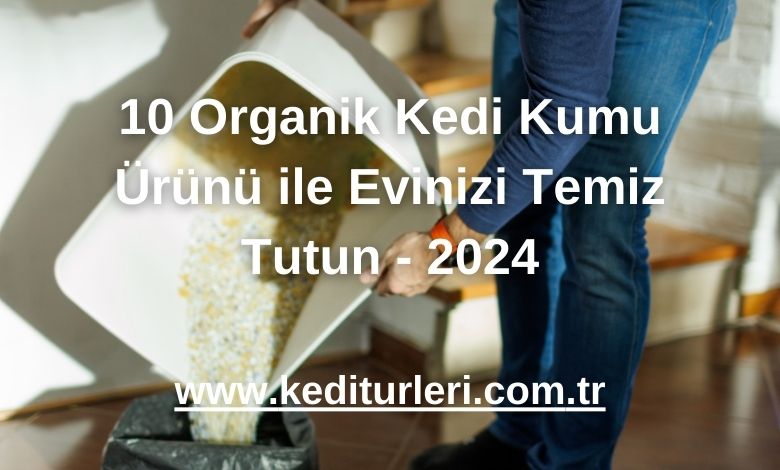 10 Organik Kedi Kumu Ürünü ile Evinizi Temiz Tutun - 2024