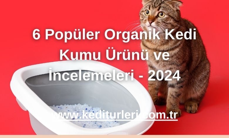 6 Popüler Organik Kedi Kumu Ürünü ve İncelemeleri - 2024
