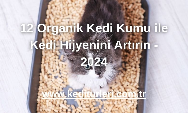 12 Organik Kedi Kumu ile Kedi Hijyenini Artırın - 2024