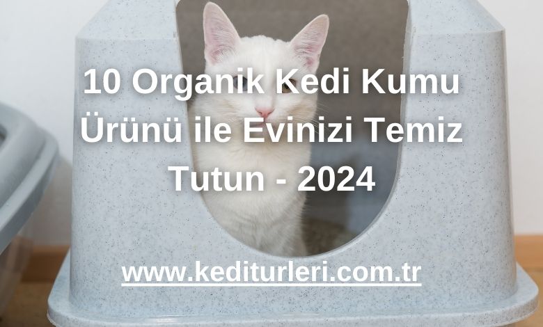10 Organik Kedi Kumu Ürünü ile Evinizi Temiz Tutun - 2024