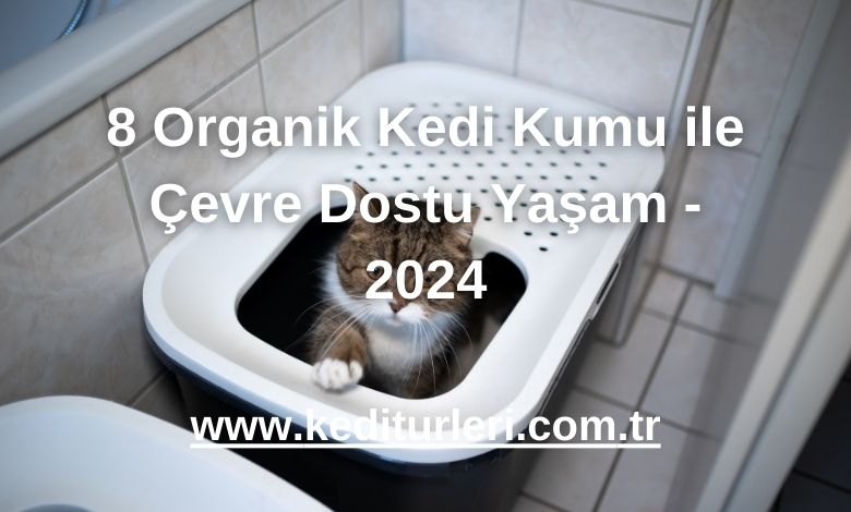 8 Organik Kedi Kumu ile Çevre Dostu Yaşam - 2024
