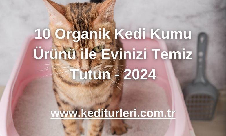 10 Organik Kedi Kumu Ürünü ile Evinizi Temiz Tutun - 2024