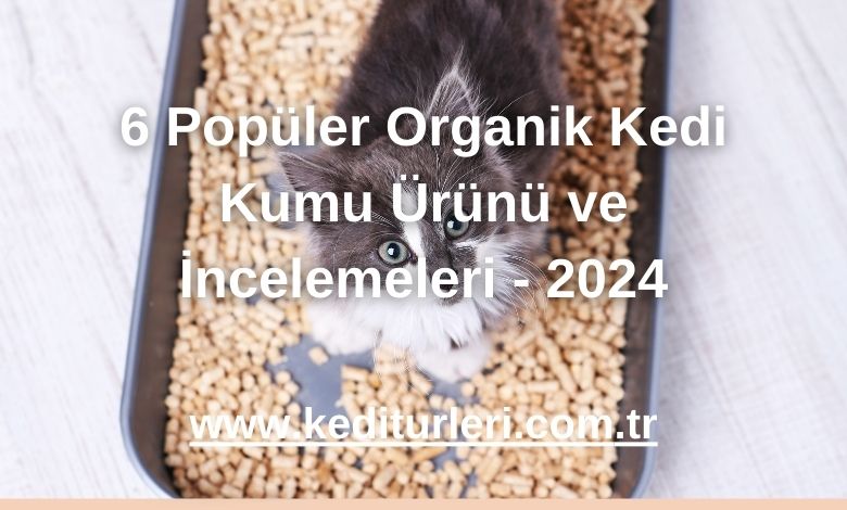 6 Popüler Organik Kedi Kumu Ürünü ve İncelemeleri - 2024