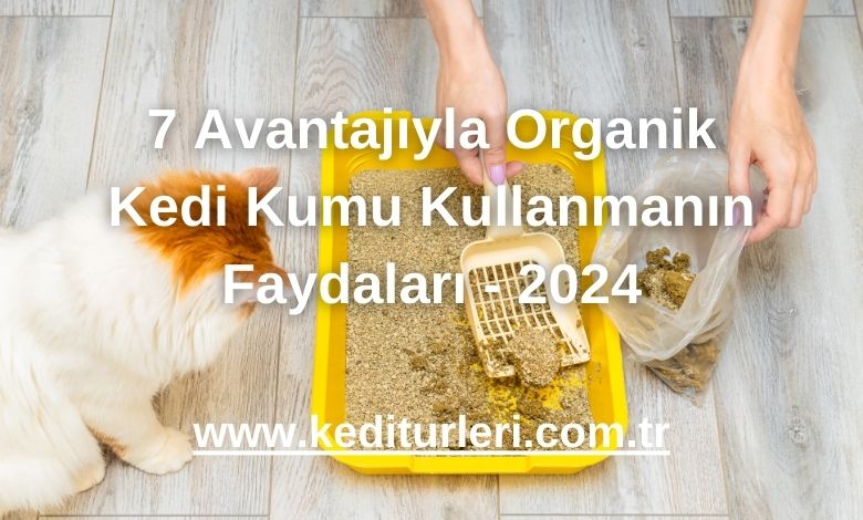 7 Avantajıyla Organik Kedi Kumu Kullanmanın Faydaları - 2024