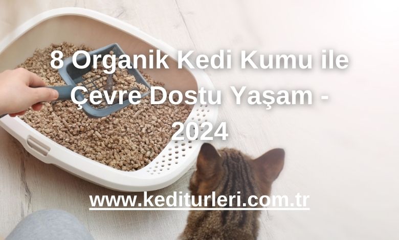 8 Organik Kedi Kumu ile Çevre Dostu Yaşam - 2024