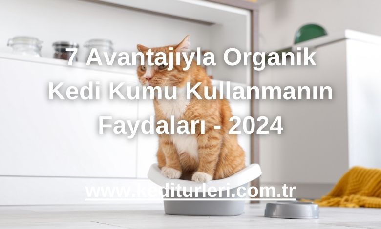 7 Avantajıyla Organik Kedi Kumu Kullanmanın Faydaları - 2024