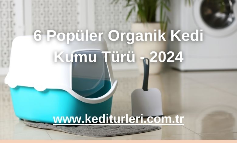 6 Popüler Organik Kedi Kumu Türü - 2024
