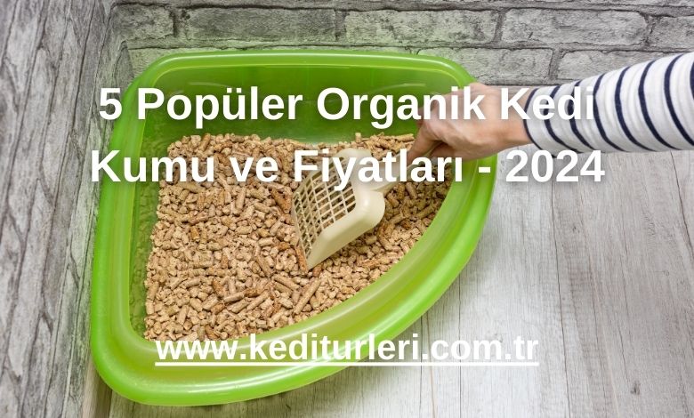 5 Popüler Organik Kedi Kumu ve Fiyatları - 2024