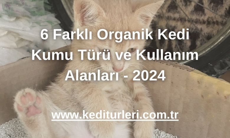 6 Farklı Organik Kedi Kumu Türü ve Kullanım Alanları - 2024