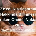 7 Kedi Kısırlaştırma Hakkında Bilinmesi Gereken Önemli Noktalar - 2024