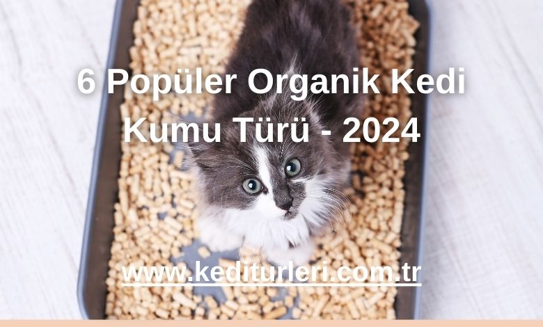 6 Popüler Organik Kedi Kumu Türü - 2024