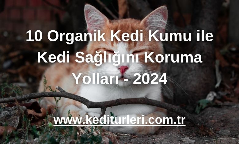 10 Organik Kedi Kumu ile Kedi Sağlığını Koruma Yolları - 2024