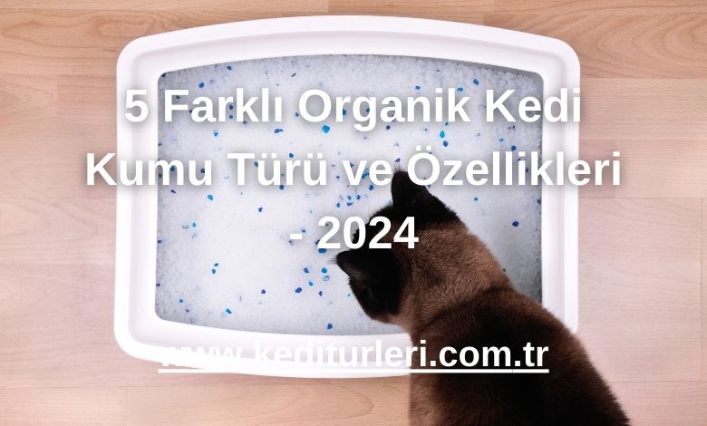 5 Farklı Organik Kedi Kumu Türü ve Özellikleri - 2024
