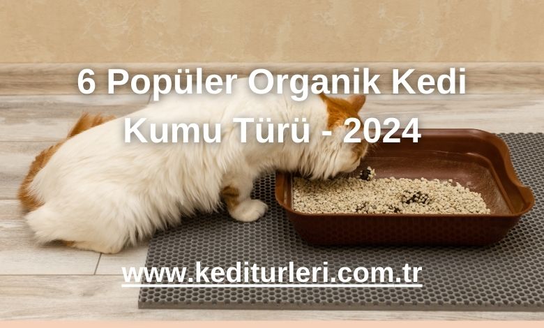 6 Popüler Organik Kedi Kumu Türü - 2024