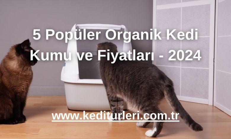 5 Popüler Organik Kedi Kumu ve Fiyatları - 2024