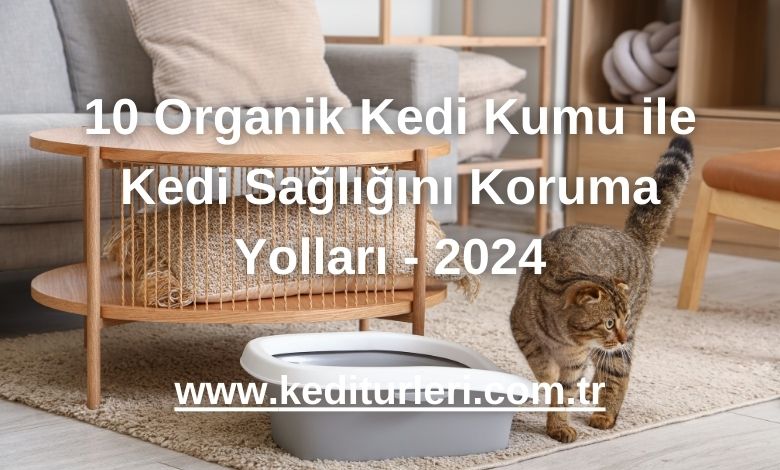 10 Organik Kedi Kumu ile Kedi Sağlığını Koruma Yolları - 2024
