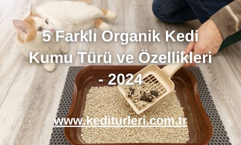 5 Farklı Organik Kedi Kumu Türü ve Özellikleri - 2024