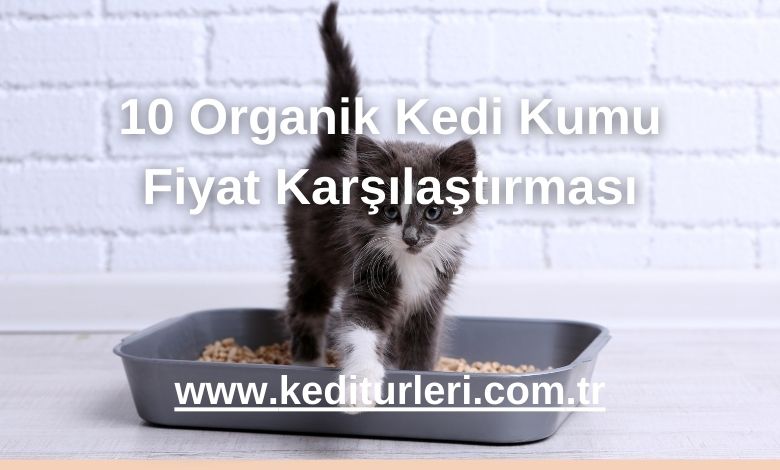organik kedi kumu