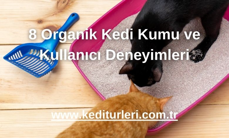 8 Organik Kedi Kumu ve Kullanıcı Deneyimleri - 2024