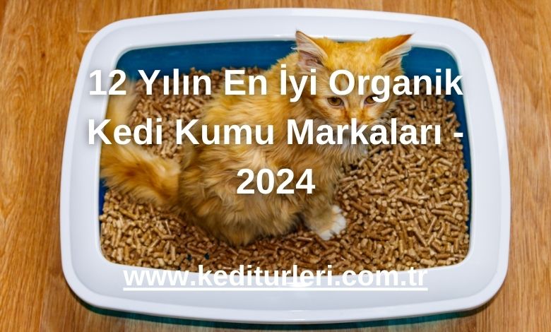 12 Yılın En İyi Organik Kedi Kumu Markaları - 2024