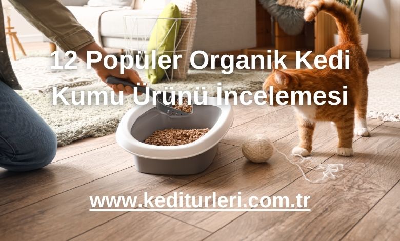 12 Popüler Organik Kedi Kumu Ürünü İncelemesi - 2024